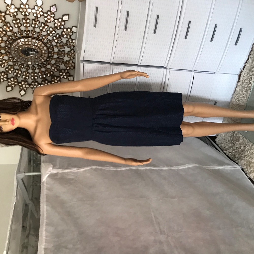 Brand New with Tags Rebecca Taylor Strapless Dress